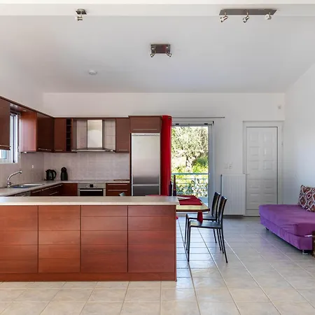 Olga's Country Vila Andikálamos